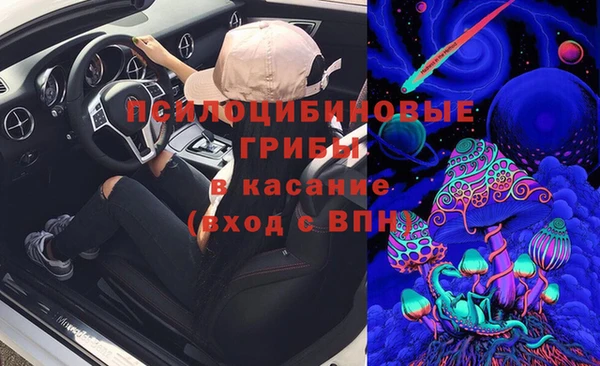 прущий лед Аркадак