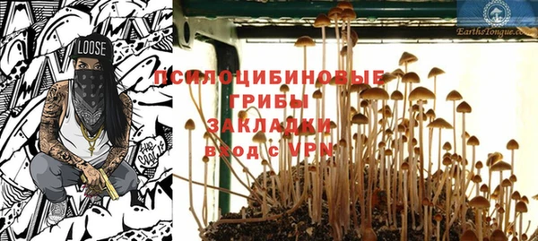 a pvp Арсеньев