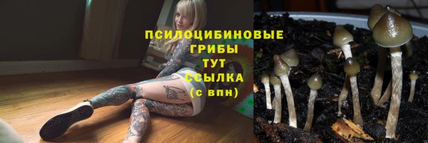a pvp Арсеньев