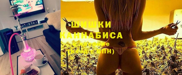 крисы Армянск