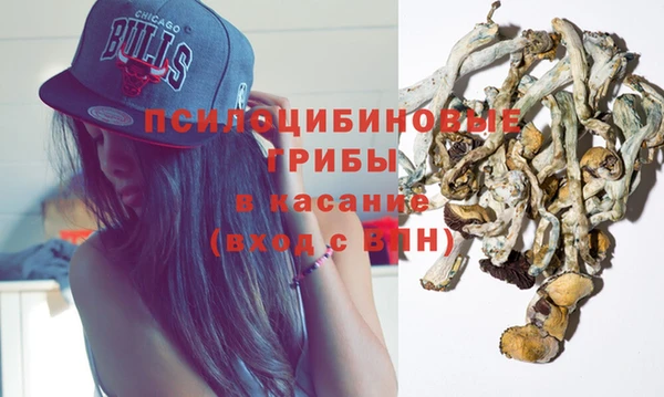 прущий лед Аркадак