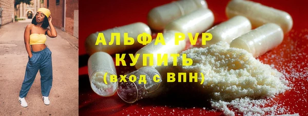 крисы Армянск