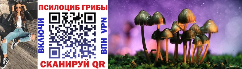 blacksprut tor  Сасово  Галлюциногенные грибы Cubensis 