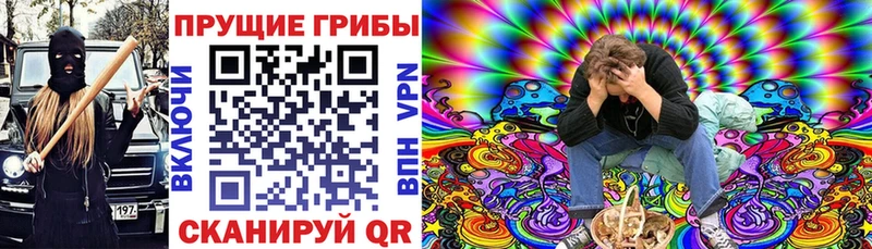 Псилоцибиновые грибы Cubensis Сасово